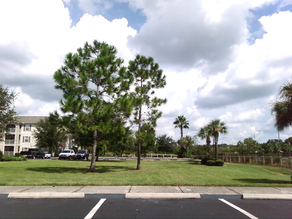 Brandon - FL - Looking N
