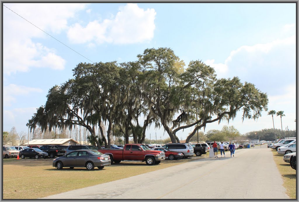 Florida State Fairground
