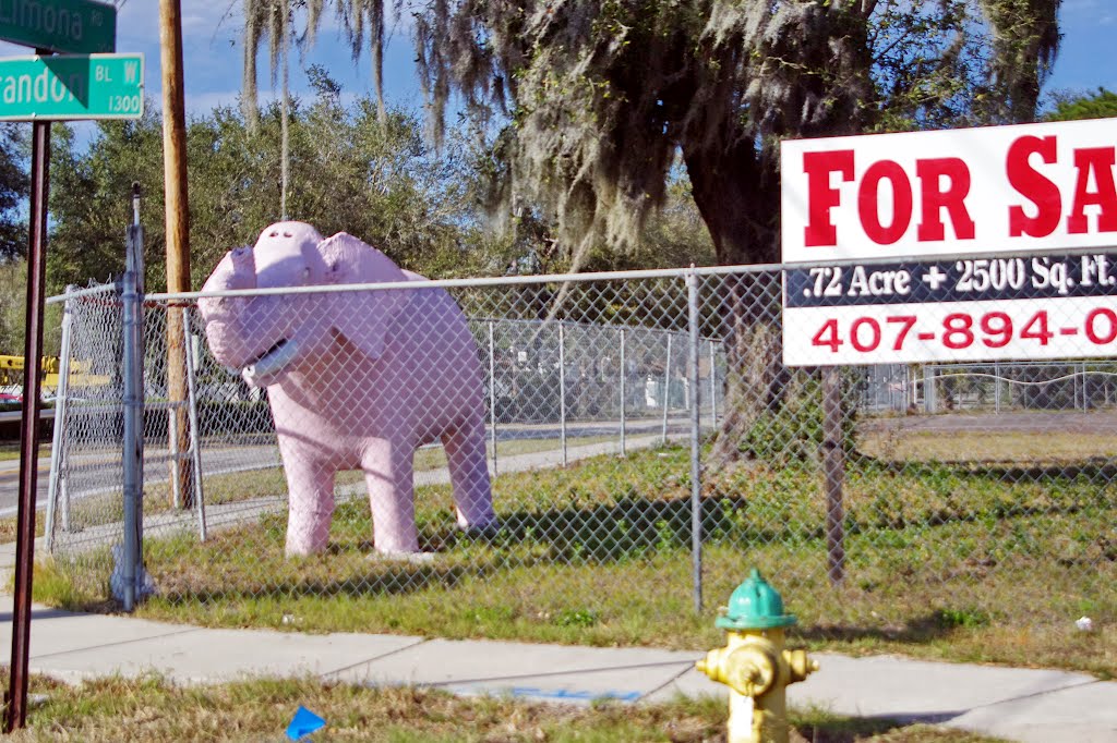 2012, Brandon, FL