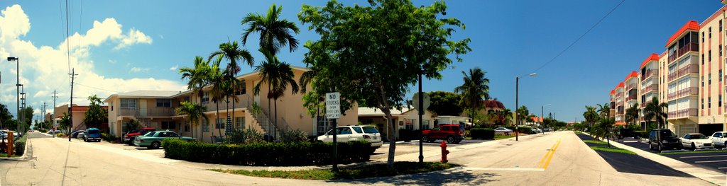PINE AND POINCIANA