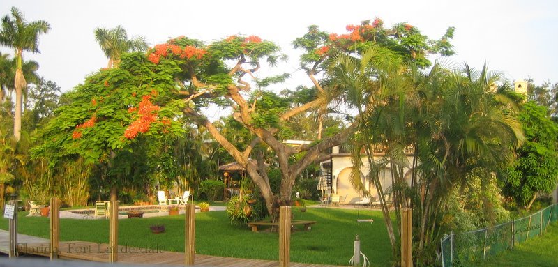 FLORIDA,FORT LAUDERDALES CHANNELS