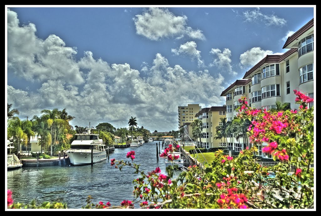 Spring 2011
