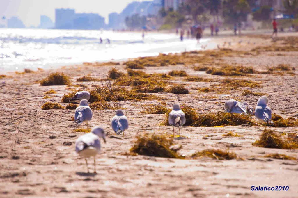 Lauderdale by the Sea, Florida