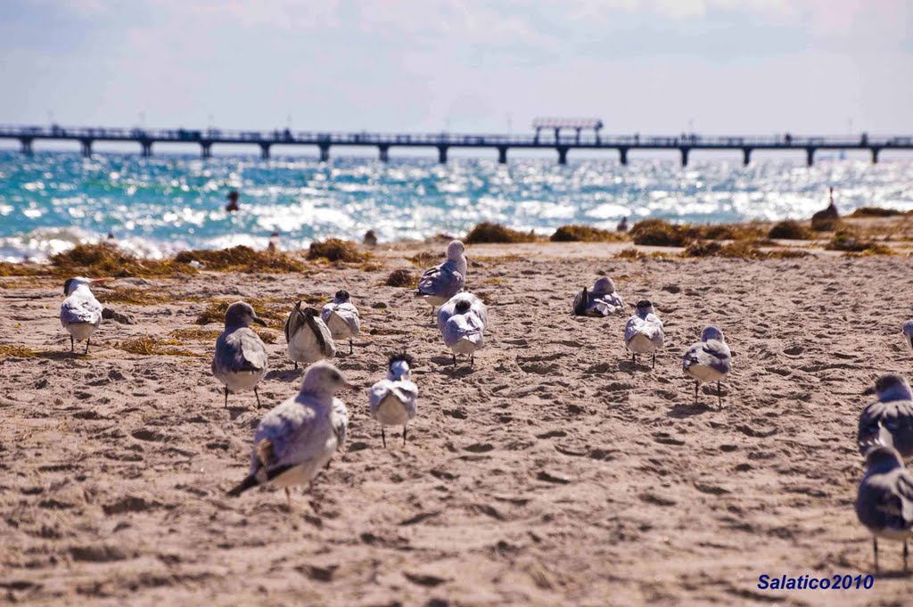 Lauderdale by the Sea, Florida