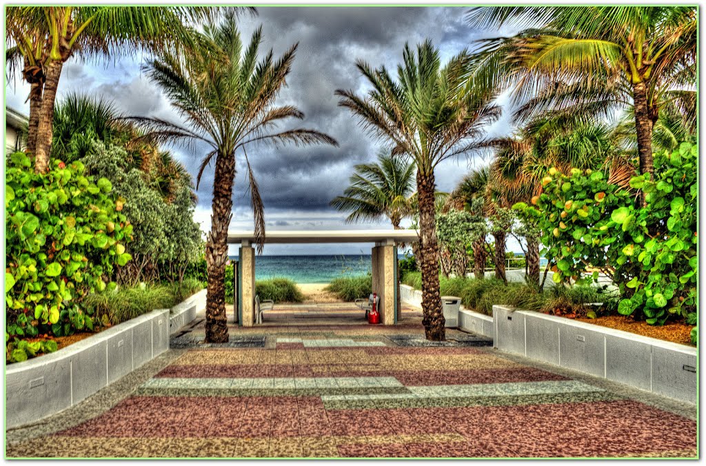 Spring in the sub tropics