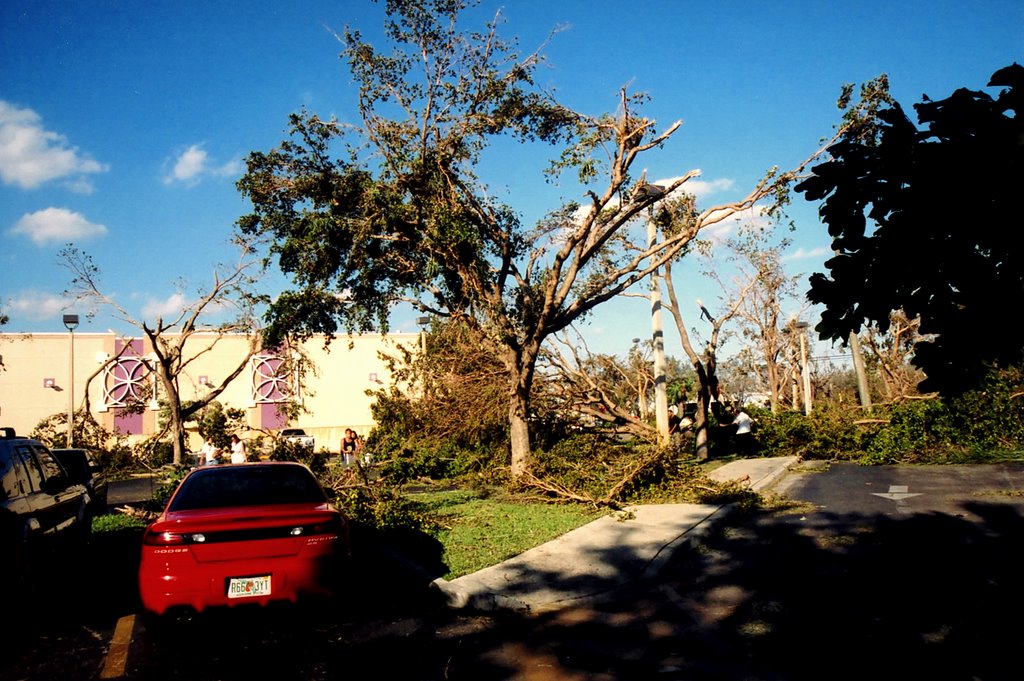 DAY AFTER WILMA