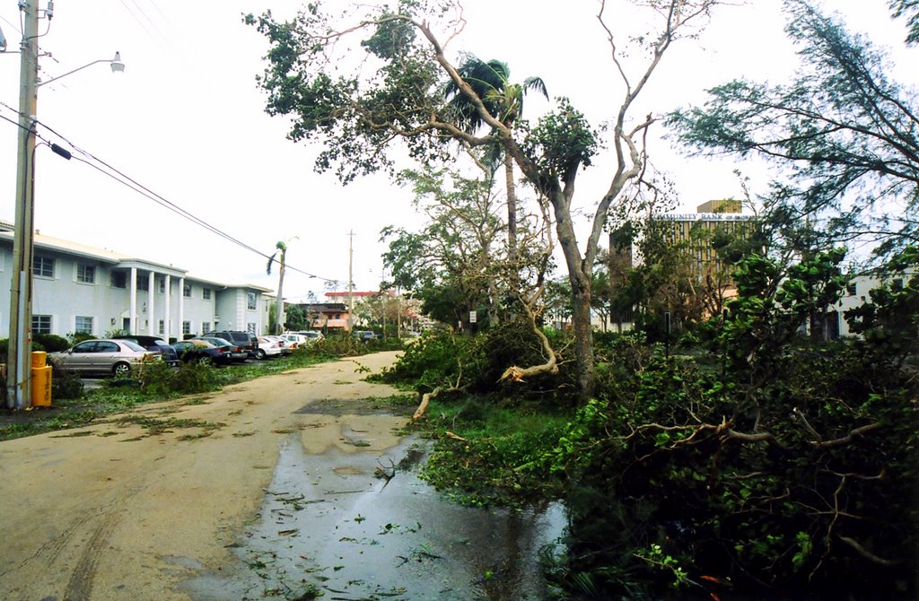 51ST. STREET AFTER WILMA