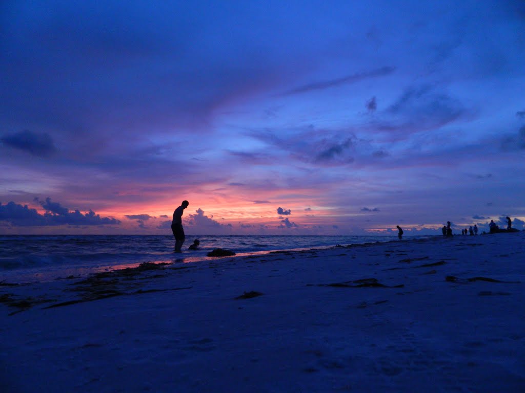 Atardecer - Sarasota County, Florida