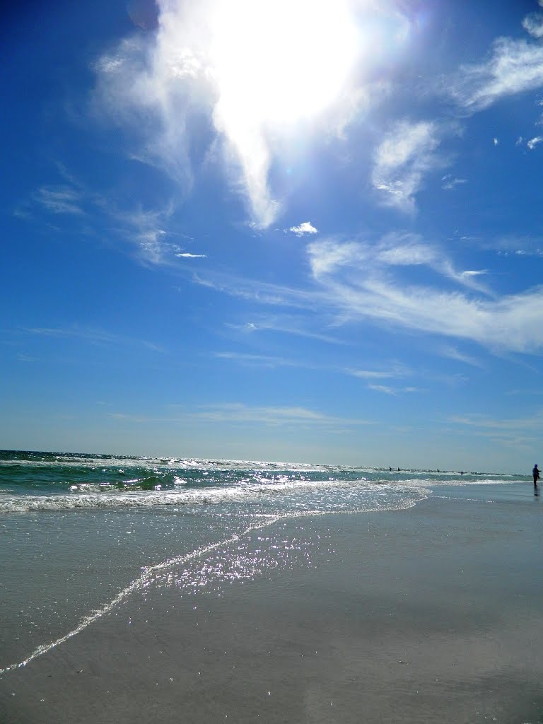 Contraluz - Backlighting.  Condado de Sarasota, Florida.