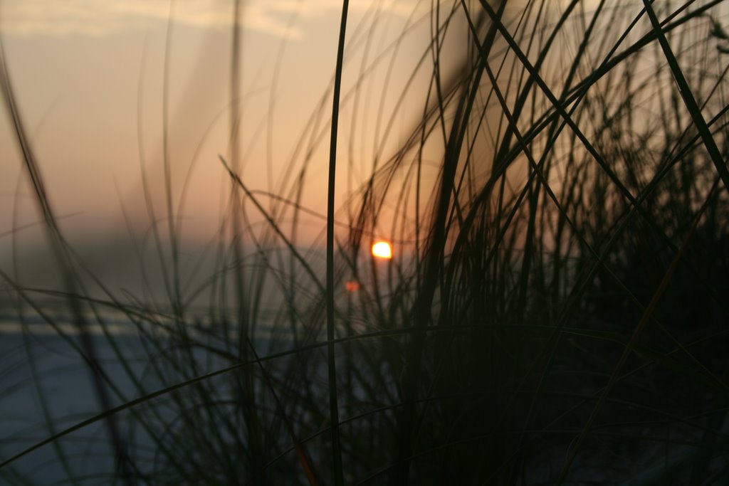 Siesta Key May 2008