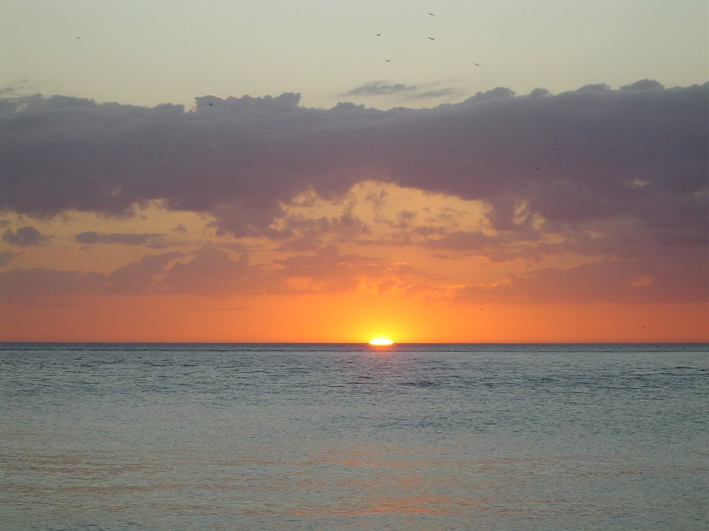 Siesta Key Florida Sunset