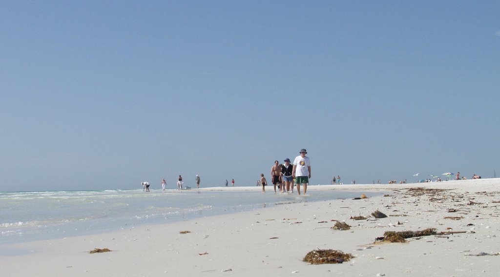 Siesta Key Beachwalkers