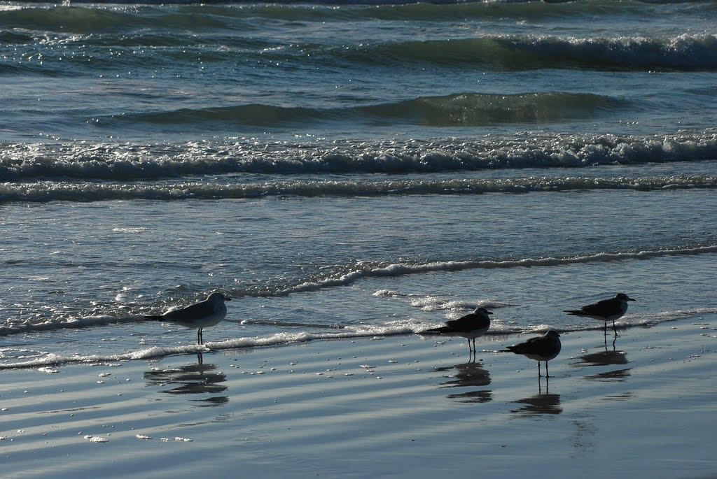 At Siesta Key