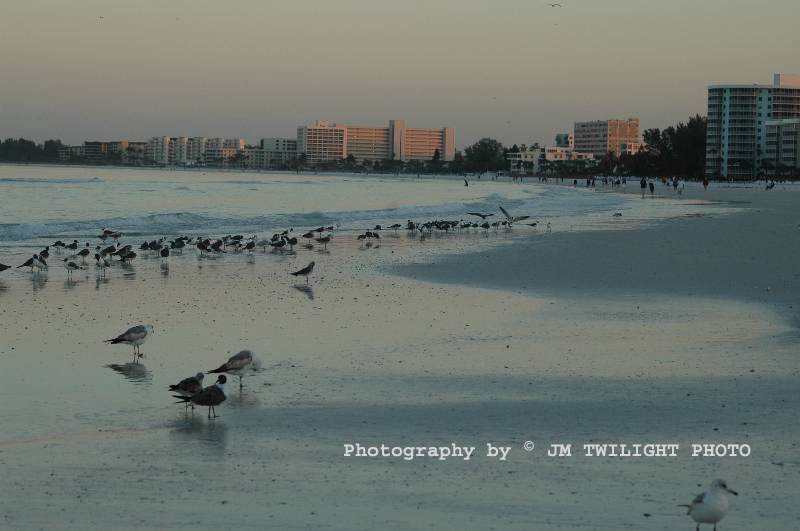 Sarasota, Florida