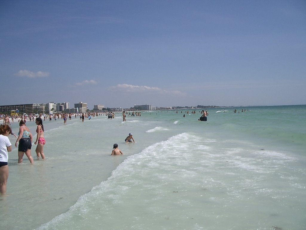 451 Siesta Key beach