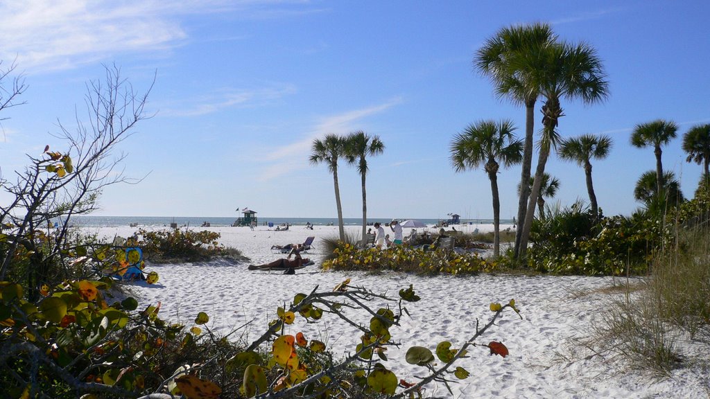 Beach at Siesta Key