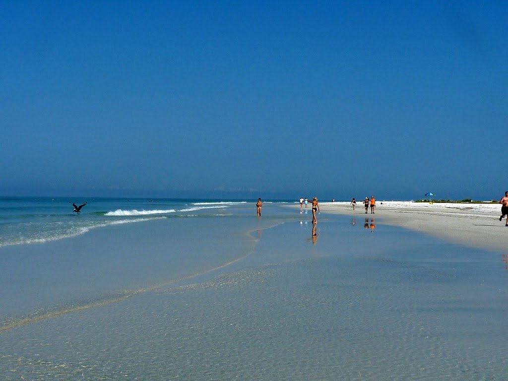 La bianca spiaggia di Siesta Key, Sarasota