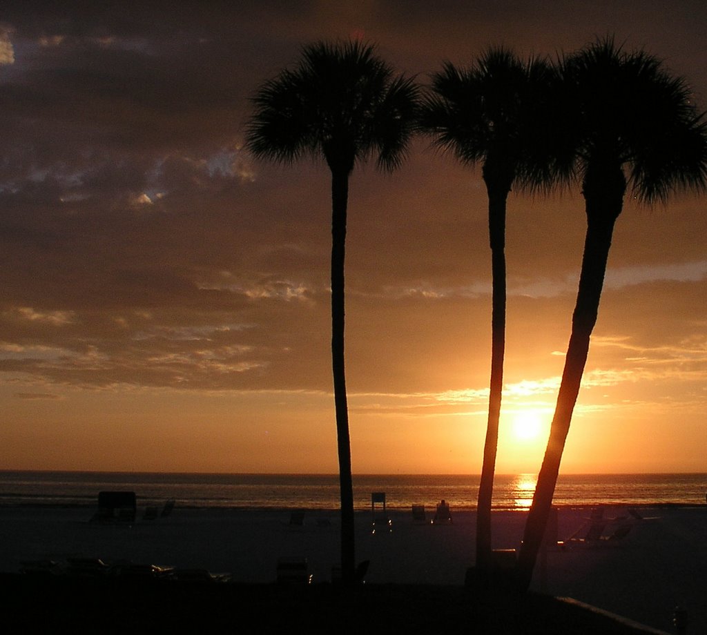 sunset in siesta key