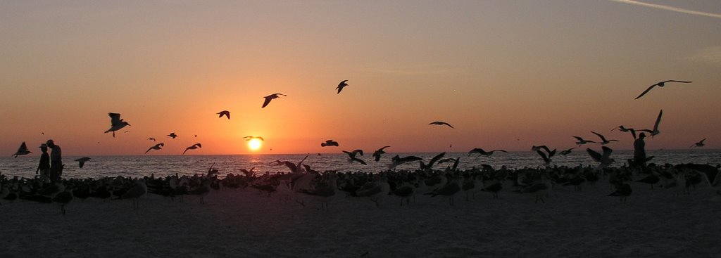 Sunset in Siesta Key