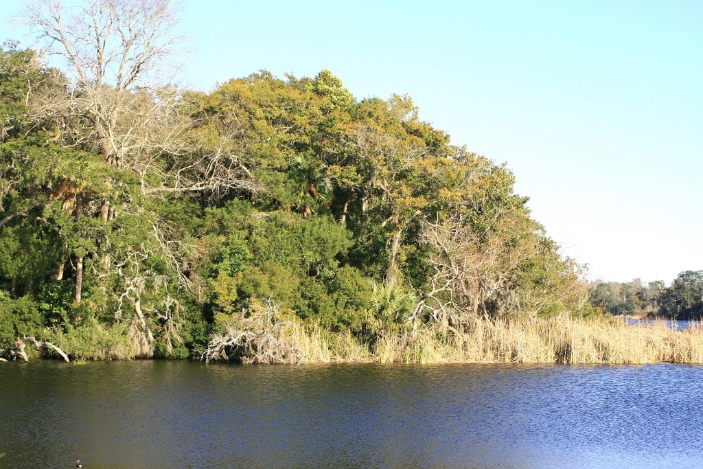 Martin Lake