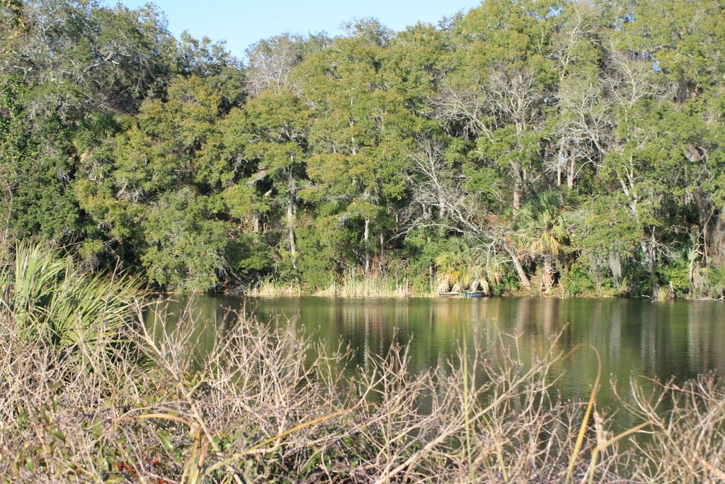 Martin Lake