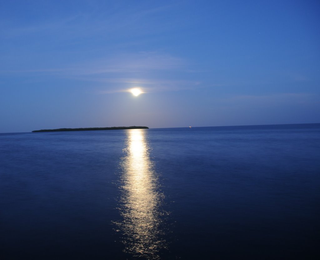 Moon Rise Tavernier FL