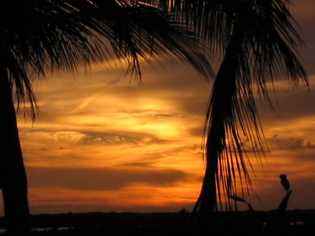 Sunset from bristol court, tavernier fl