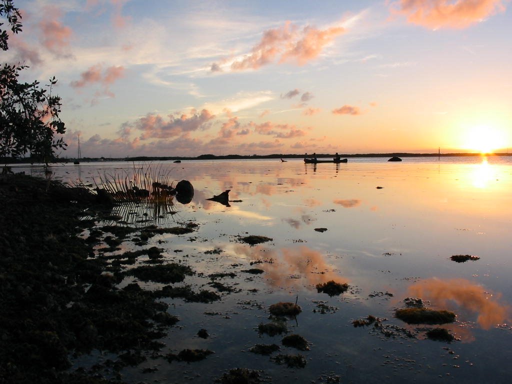reflections of sunset Tavernier fl