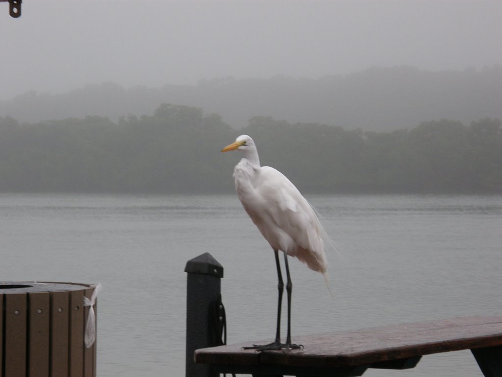 At Tavernier Creek Marina