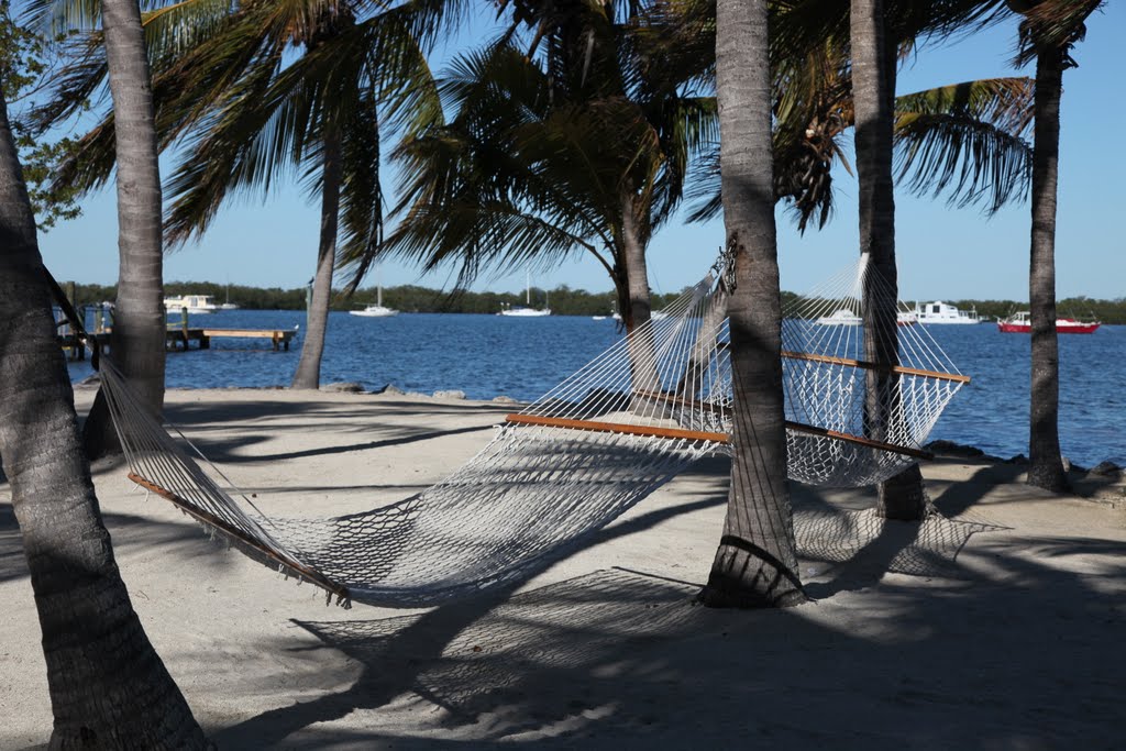 coconut palm inn, tavernier