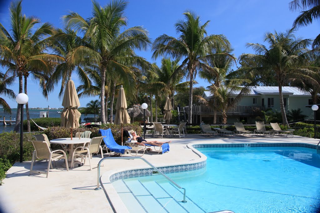 coconut palm inn, tavernier
