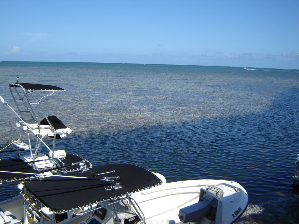 Great View at Tavernier