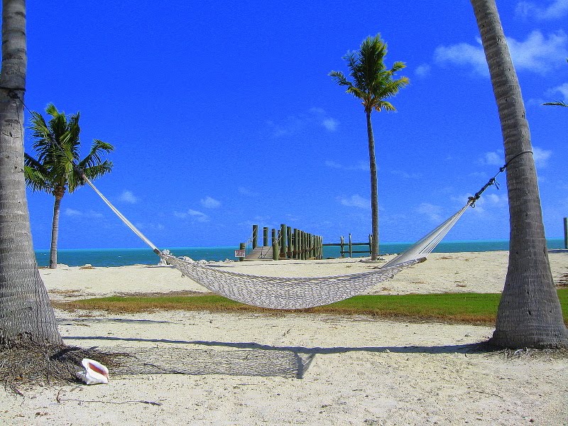 swinging in the breeze