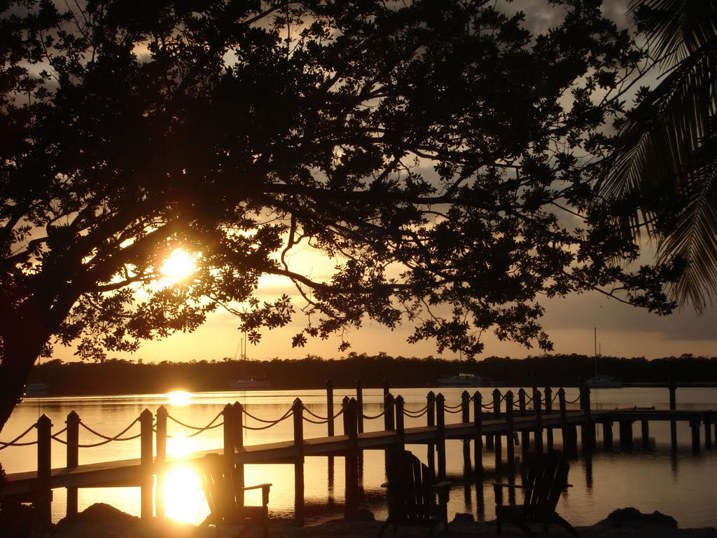 Sunset At Coconut Palm Inn - Key Largo, FL