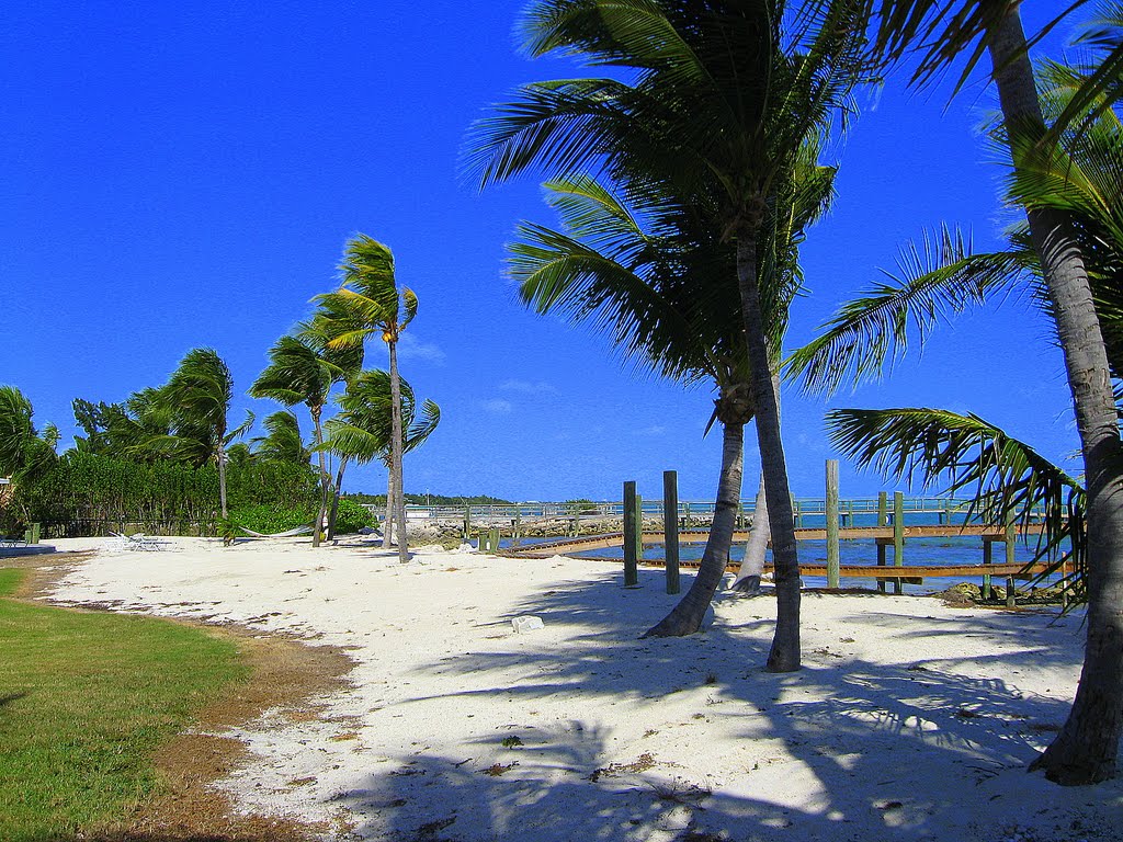 Tavernier, Fl. Keys  Shoreline