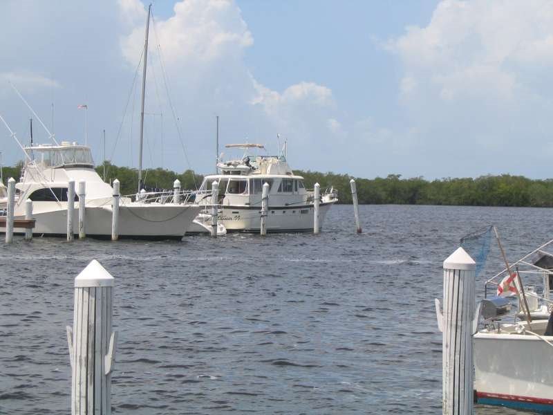 Mangrove Marina