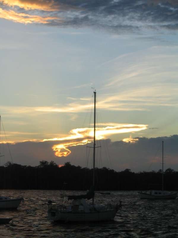 Mangrove Marina
