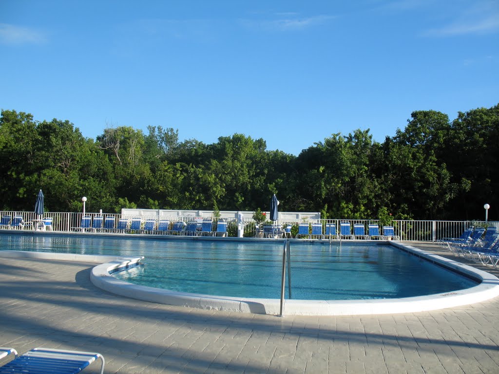 perfekter Pool