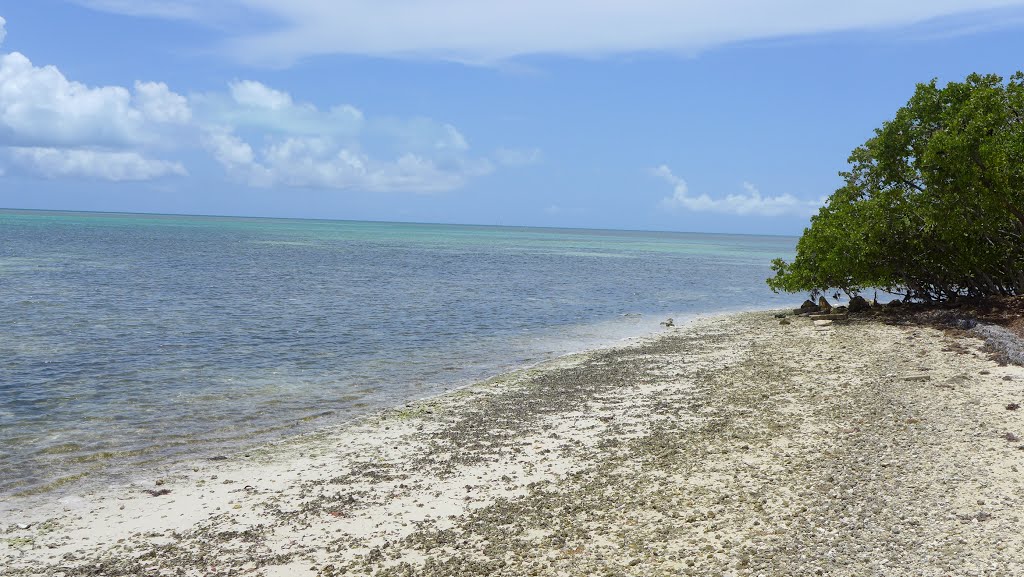 Beach Key West