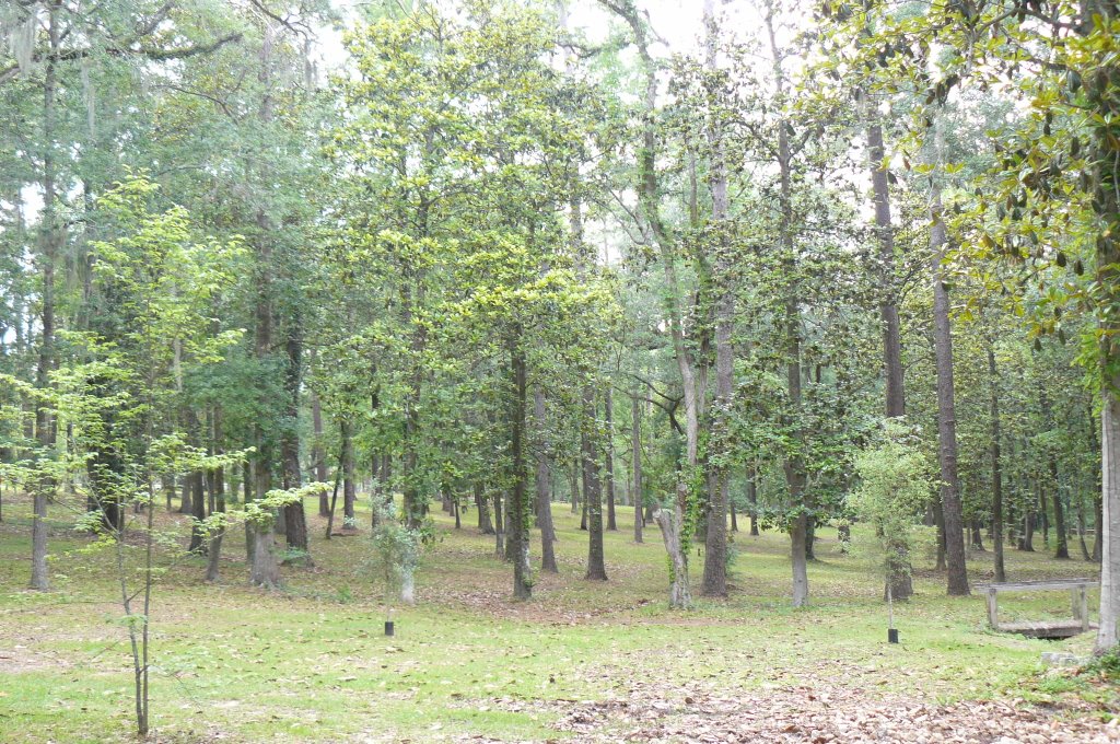 Myers Park