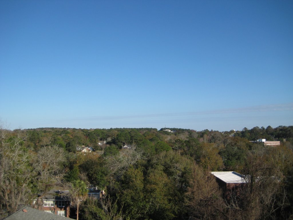 Tallahassee Tree Tops