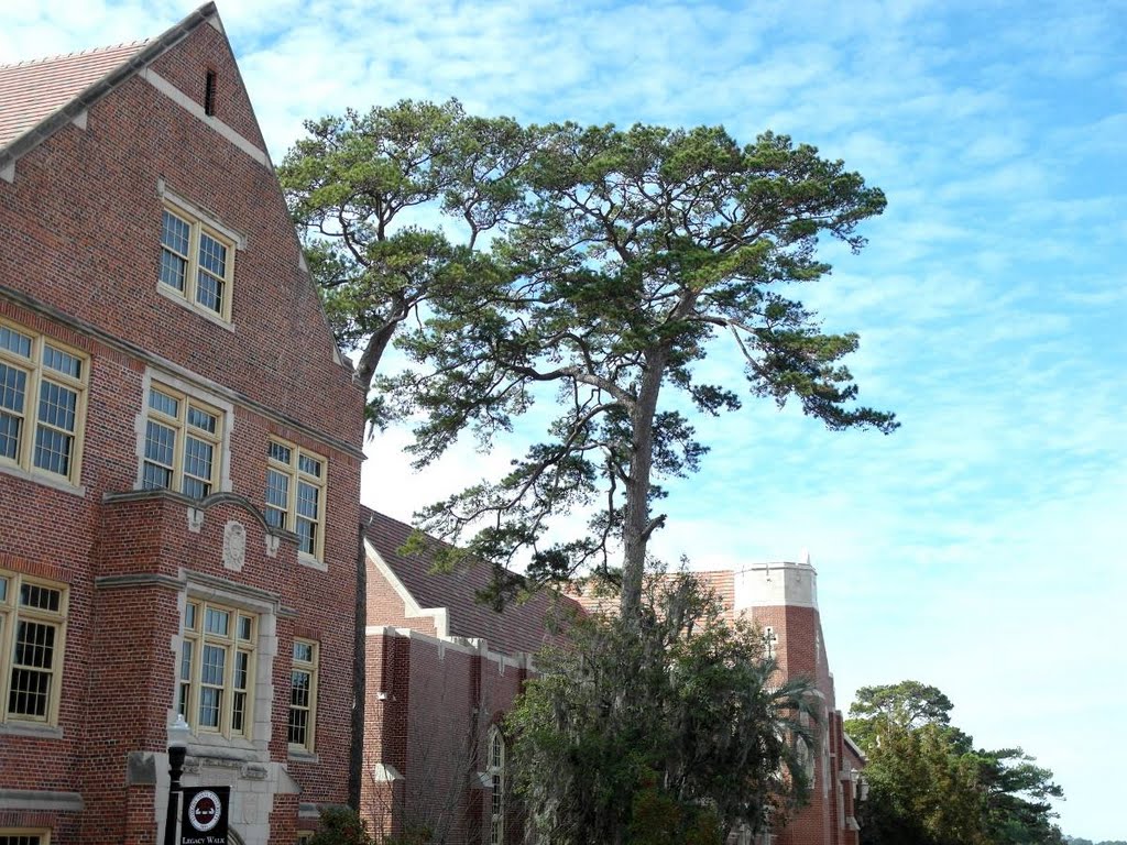FSU - Dodd Hall