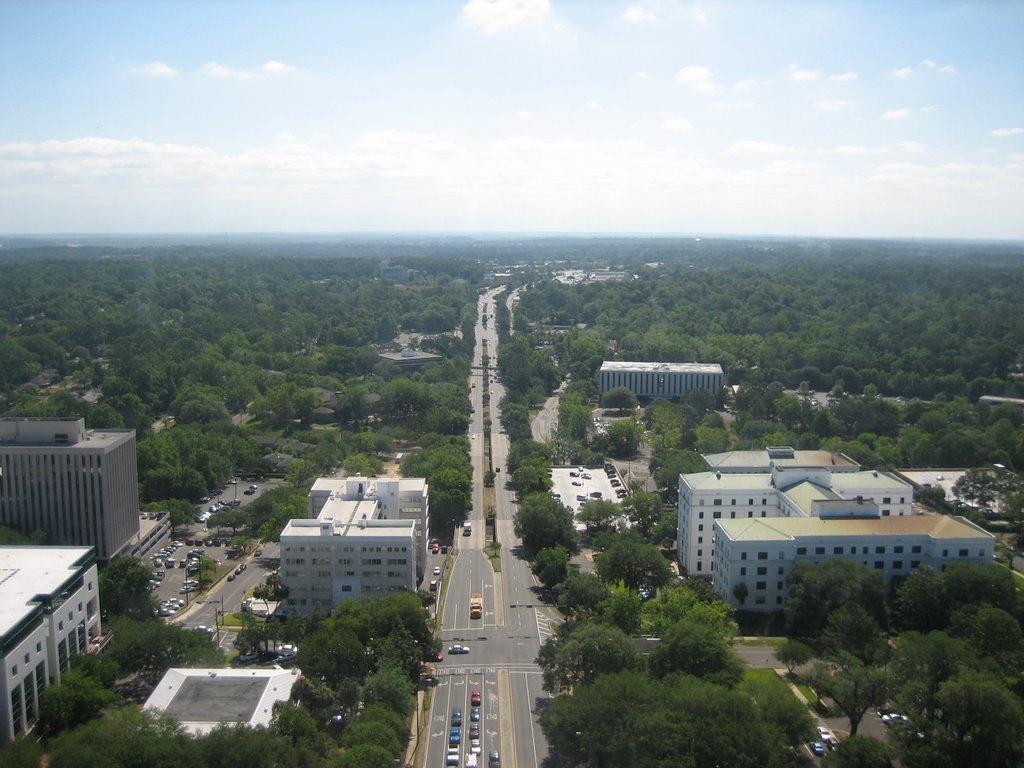 Tallahassee