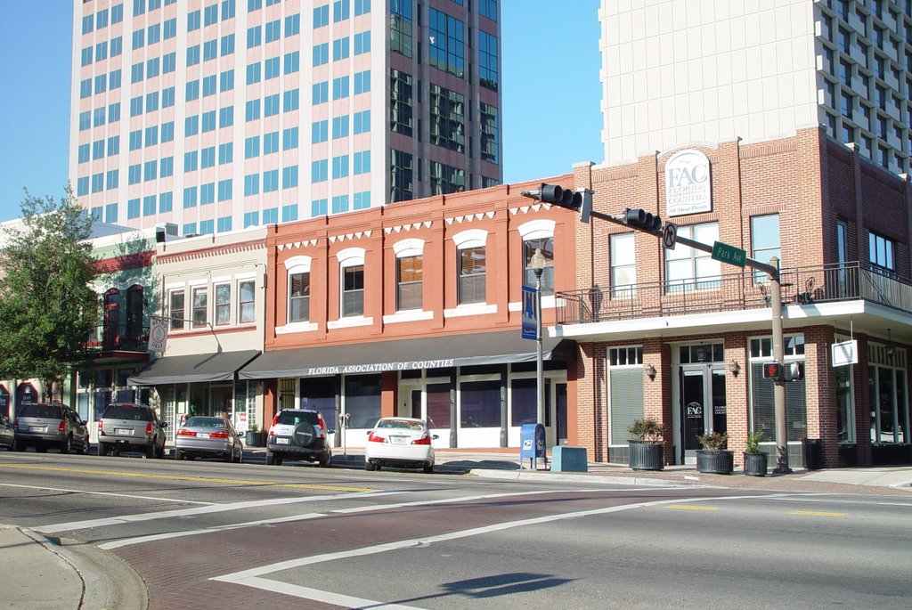 old & new, downtown Tallahassee, Florida (3-16-2008)