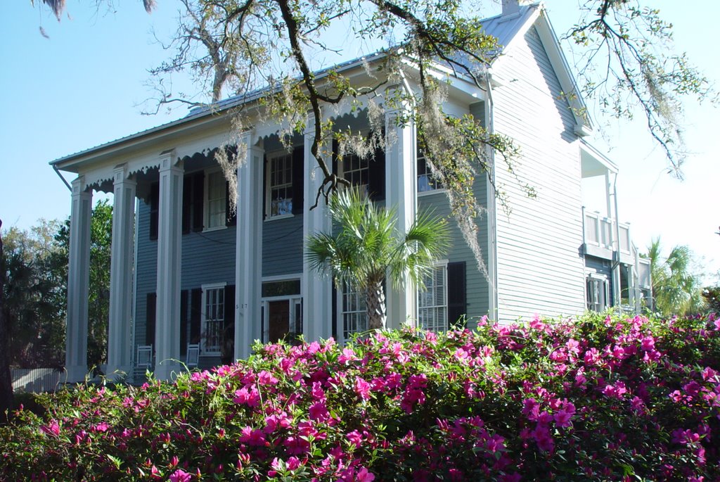1847 Mayor Towle-Whitaker house, Tallahassee, Fla (3-16-2008)