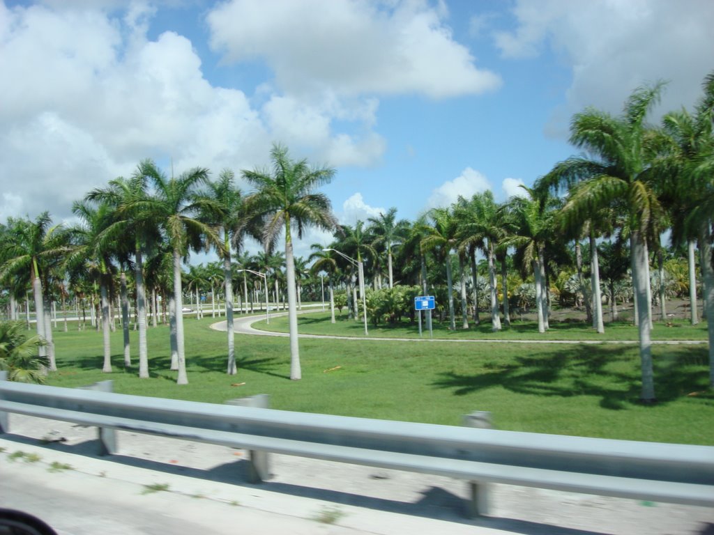FLORIDA TURNPIKE