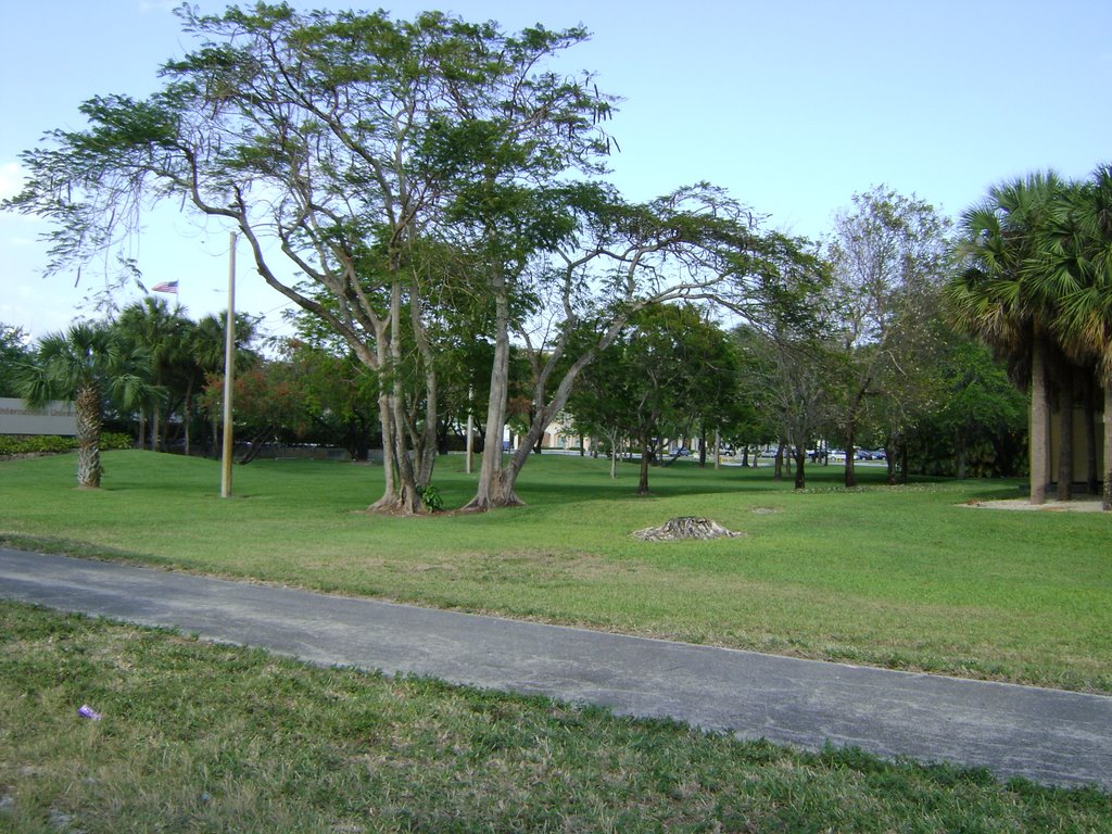 SW117 Ave Miami