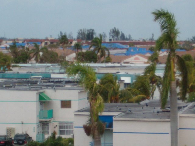 Miamis Blue Roof (Nov, 2005)
