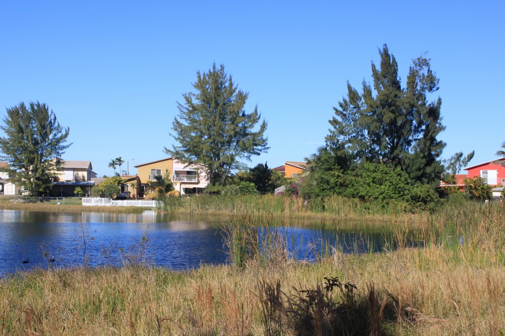 Hidden Lake - Miami, Fl - USA