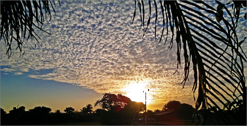 Sunrise. Miami, Fl